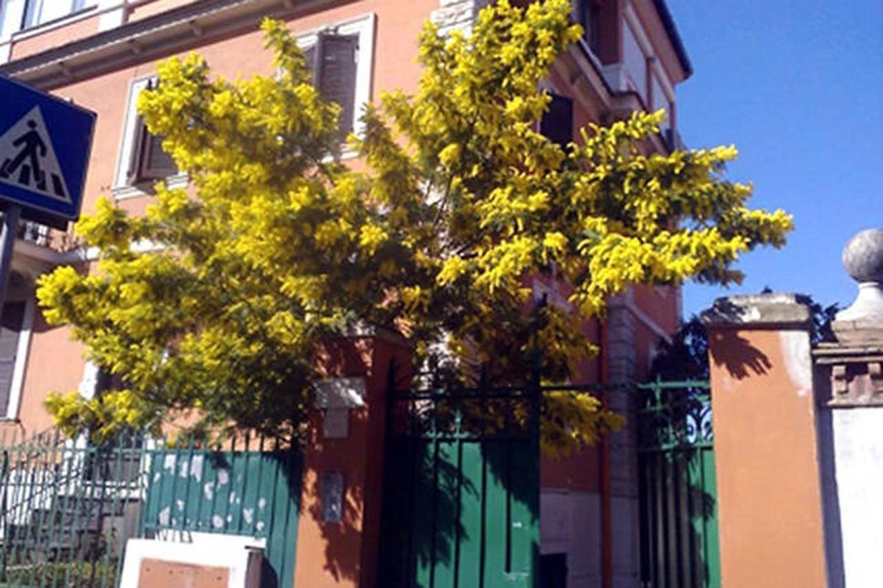 Garden Flat By Vatican Walls Rome Exterior photo